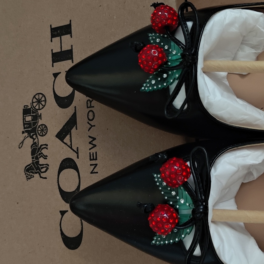 NIB Coach Runway Cherry Black Leather Flats - Size 8 - Picture 7 of 12
